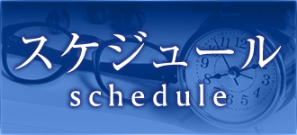 SCHEDULE